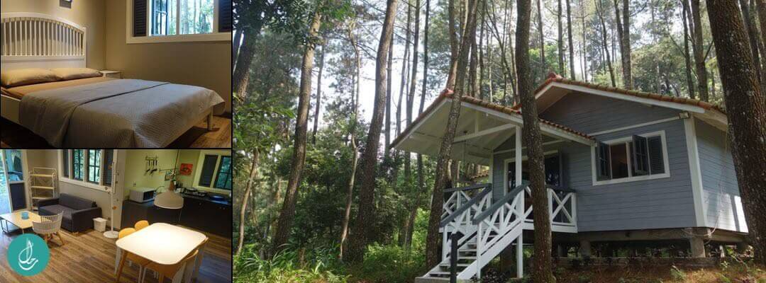فيلات غابة الصنوبر The Pine Forest Villas