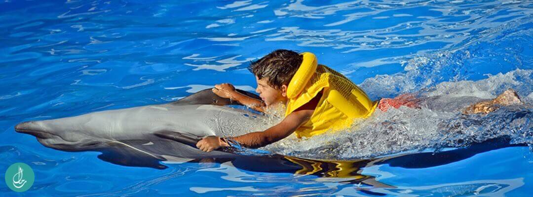 باتومي دولفيناريوم Batumi Dolphinarium